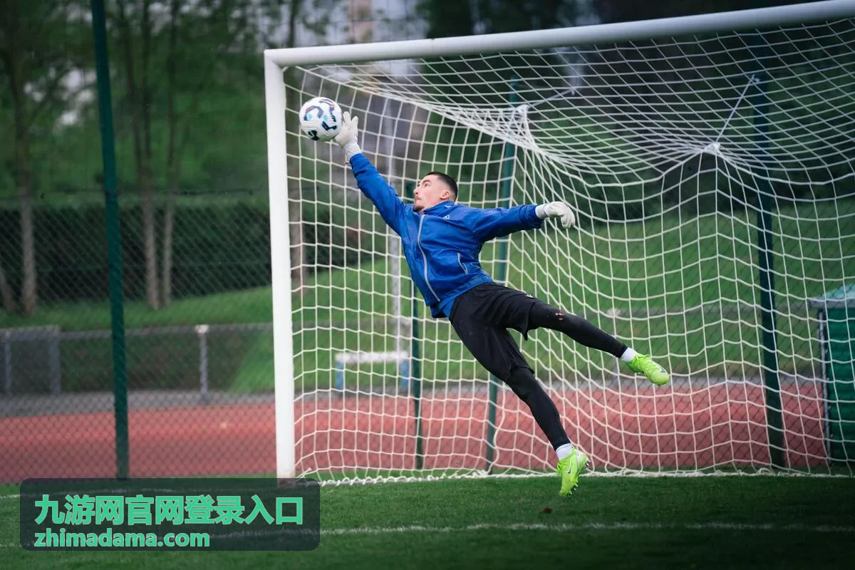 九游网官网登录入口通行证密码找回路径示意