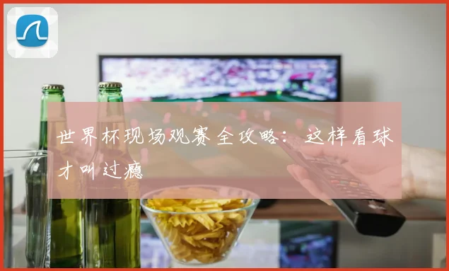 世界杯现场观赛全攻略：这样看球才叫过瘾