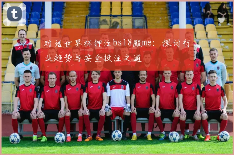 对话世界杯押注bs18殿me：探讨行业趋势与安全投注之道