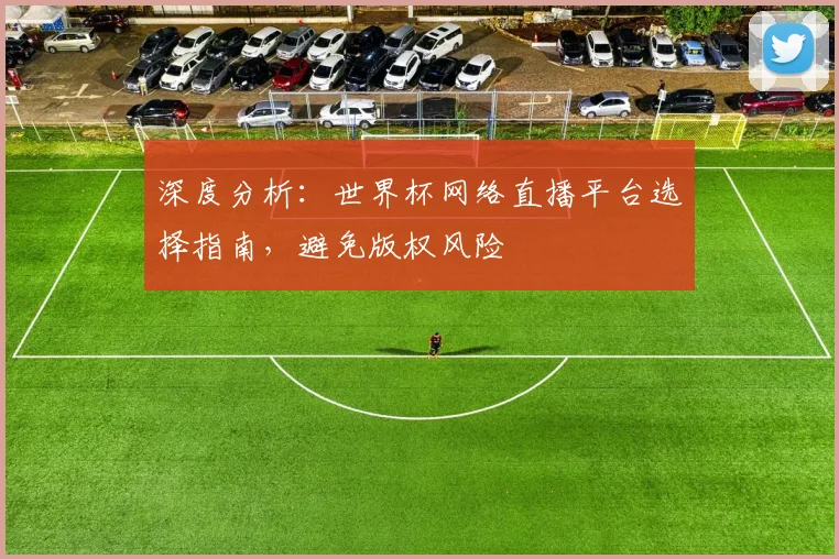 深度分析：世界杯网络直播平台选择指南，避免版权风险