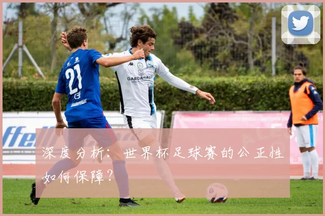 深度分析：世界杯足球赛的公正性如何保障？