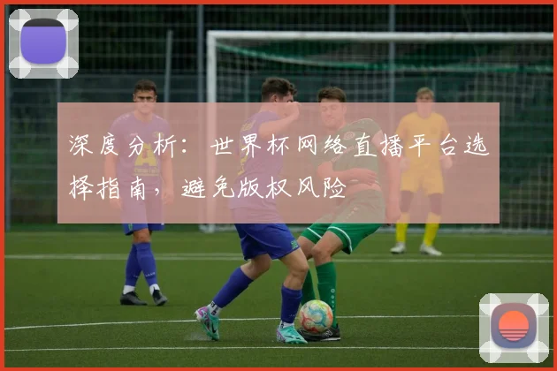 深度分析：世界杯网络直播平台选择指南，避免版权风险