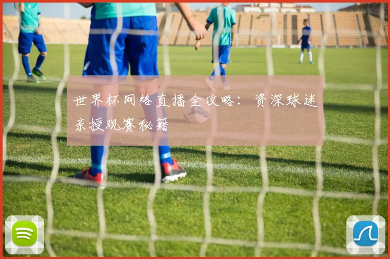 世界杯网络直播全攻略:资深球迷亲授观赛秘籍