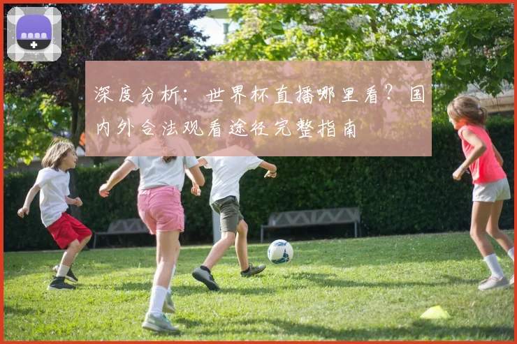 深度分析：世界杯直播哪里看？国内外合法观看途径完整指南
