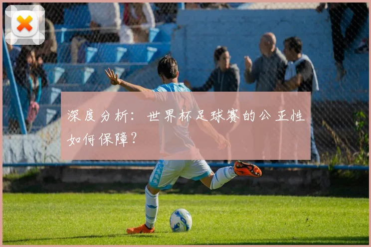 深度分析：世界杯足球赛的公正性如何保障？