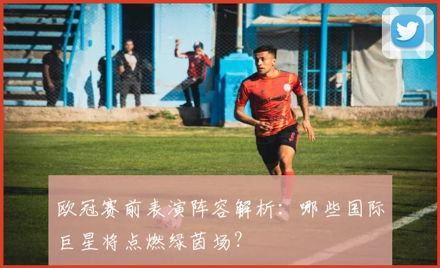 欧冠赛前表演阵容解析:哪些国际巨星将点燃绿茵场?